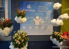 Airthurium is a new concept that emphasizes on the air cleaning characteristic of the anthurium. “Anthuriums clear the air of toxic substances and even secrete substances, that eliminate moulds and viruses.”